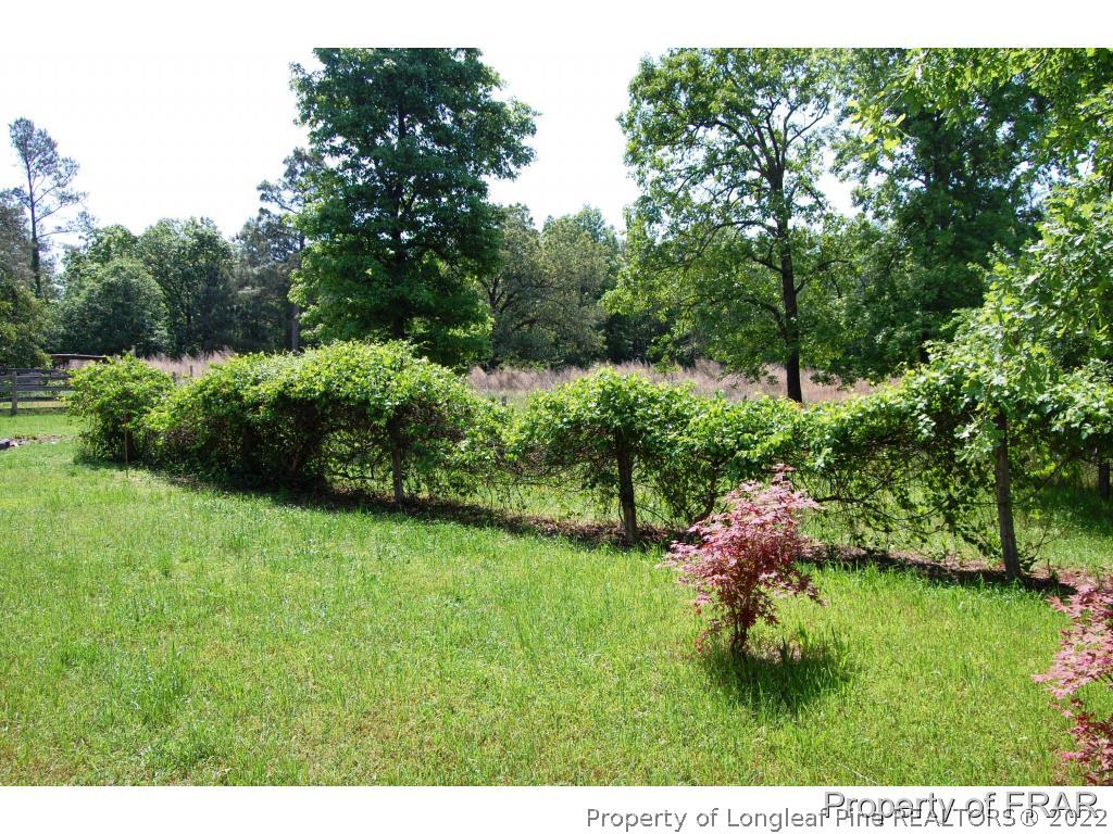 761 Pats Road Vass, NC 28394 - Photo 3 of 23 Gallery Image 3