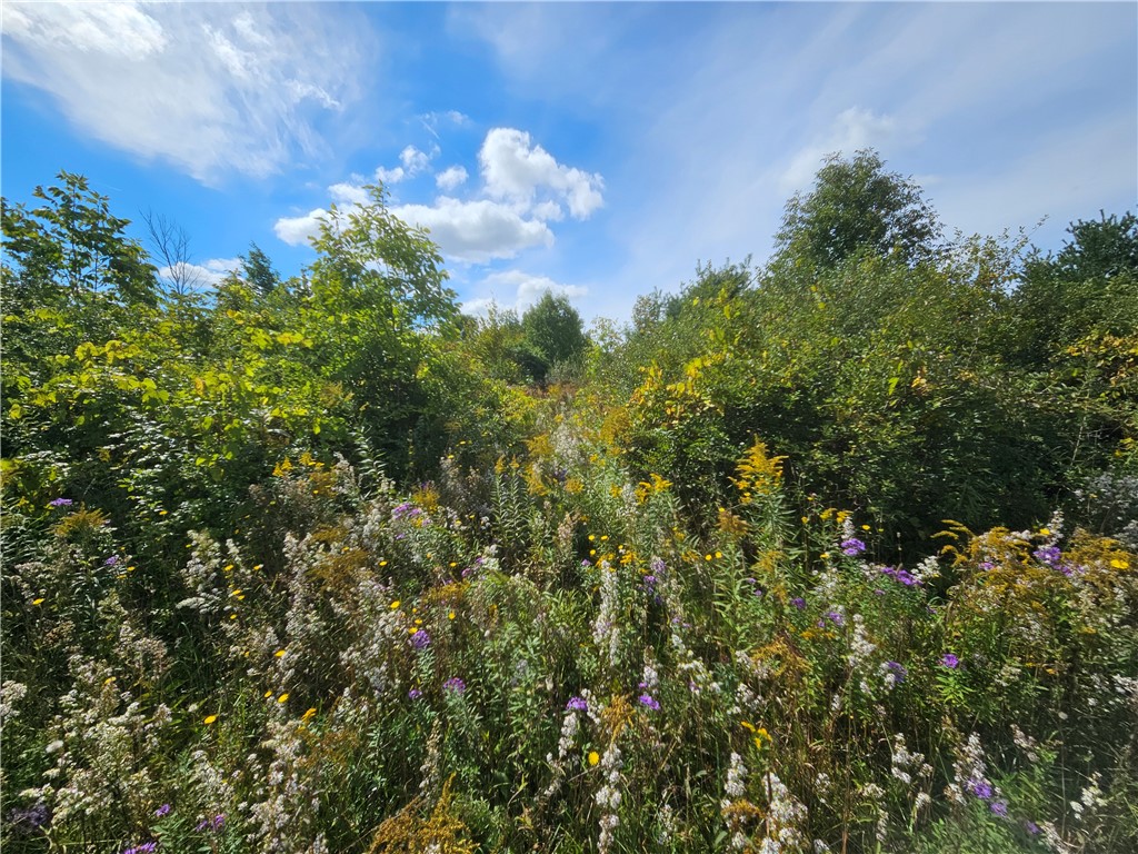 8237 Ford Road Pulteney, NY 14418 - Photo 25 of 48 Gallery Image 25