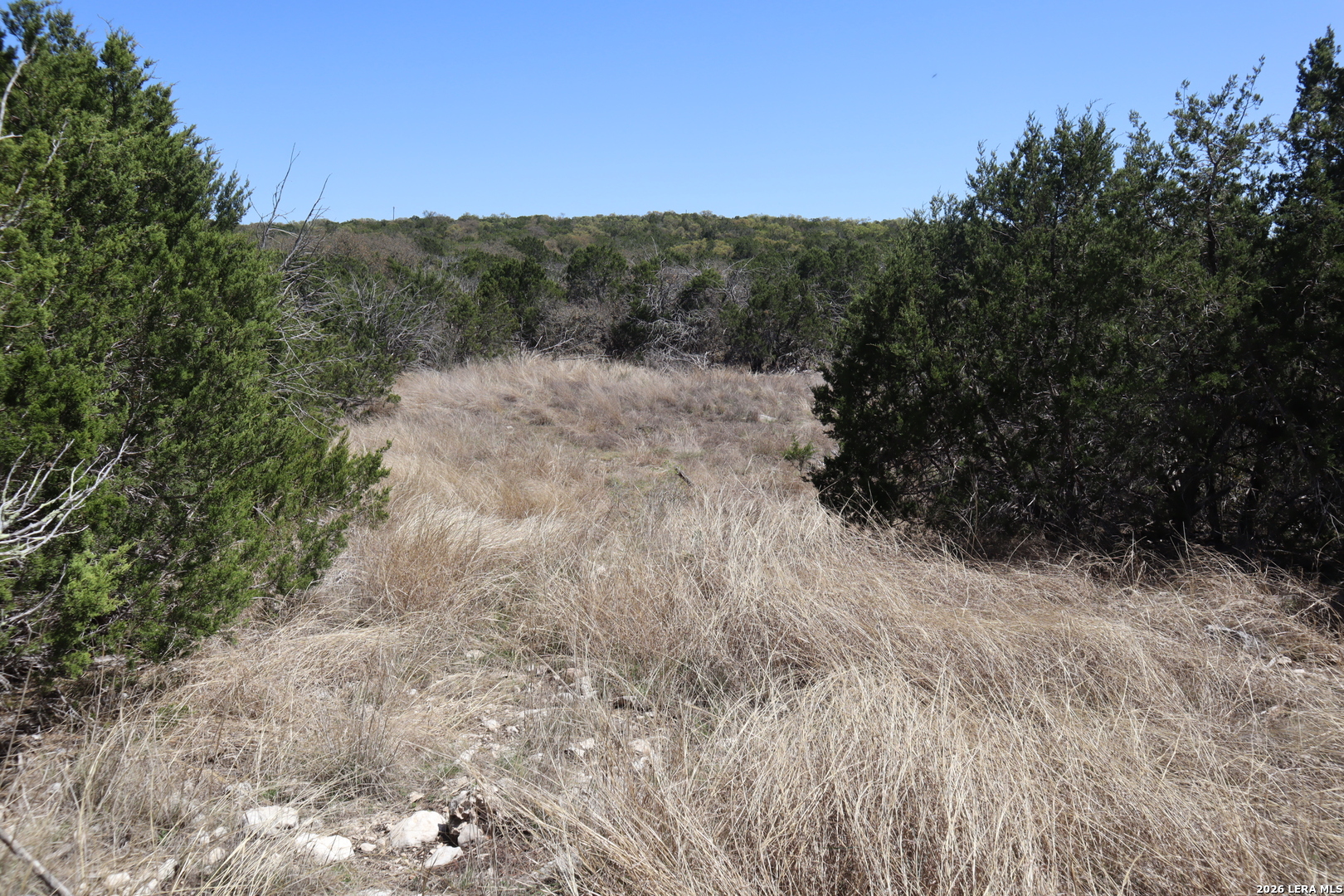462 Schenk Witkowski Road Rocksprings, TX 78880 - Photo 53 of 63