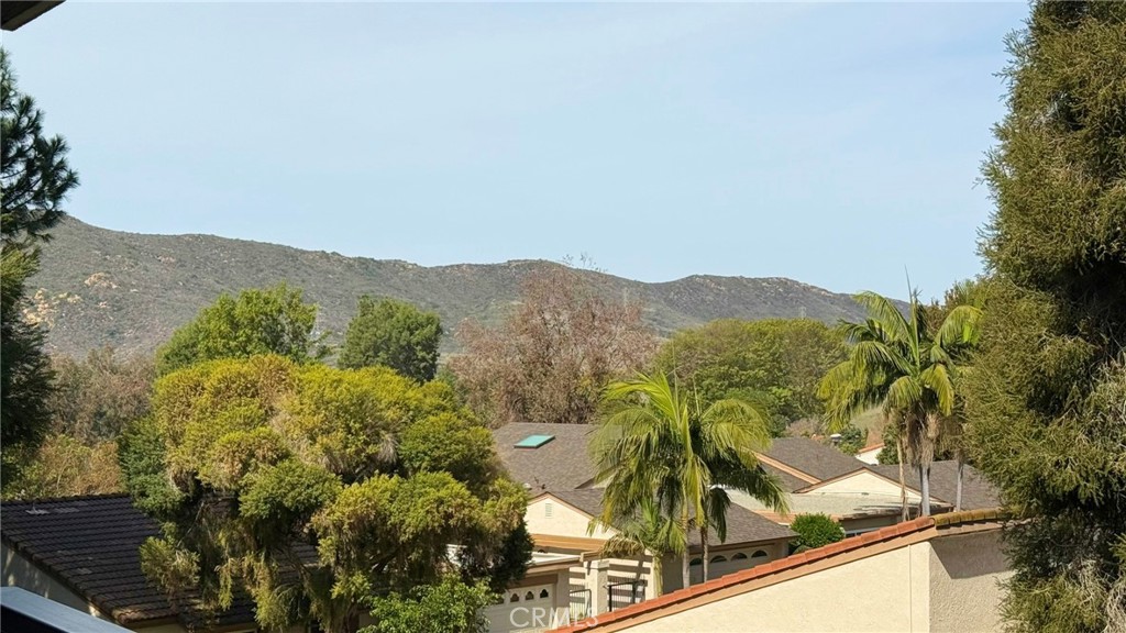 3397 Punta Alta, Unit O Laguna Woods, CA 92637 - Photo 4 of 27 View from back patio towards the Laguna Canyon Wilderness