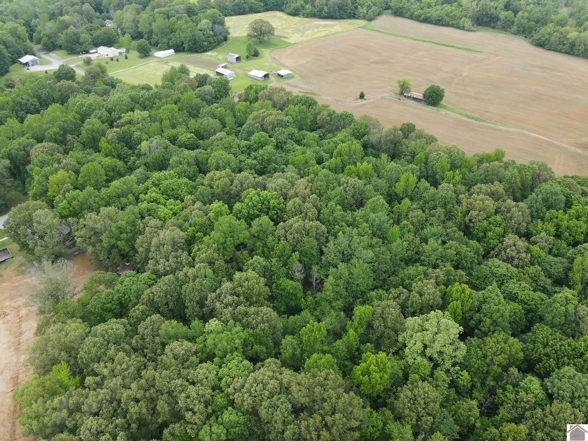 Dooms Chapel Road Symsonia, KY 42082 - Photo 15 of 16 Photo 15