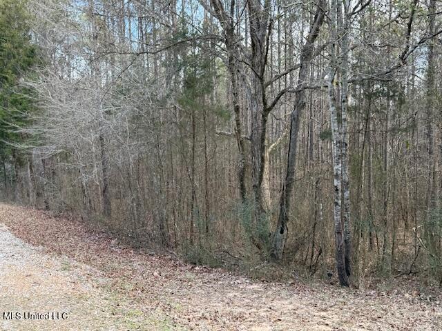 129 Gadd Road Potts Camp, MS 38659 - Photo 1 of 15 front