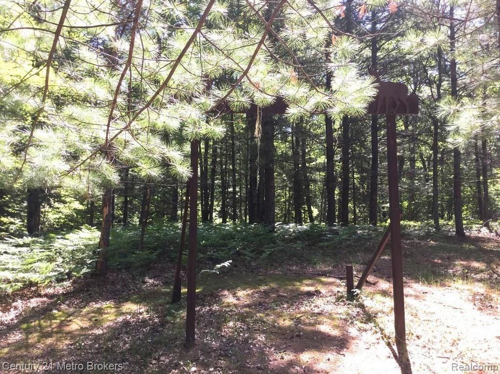 2424 Pierce Road Mio, MI 48647 - Photo 10 of 48 30059750_9.jpg