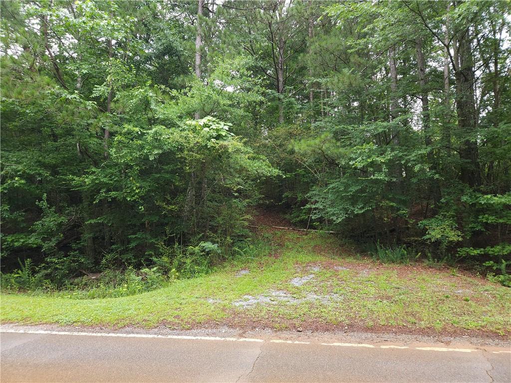 0 Potash Road Cedartown, GA 30125 - Photo 1 of 15