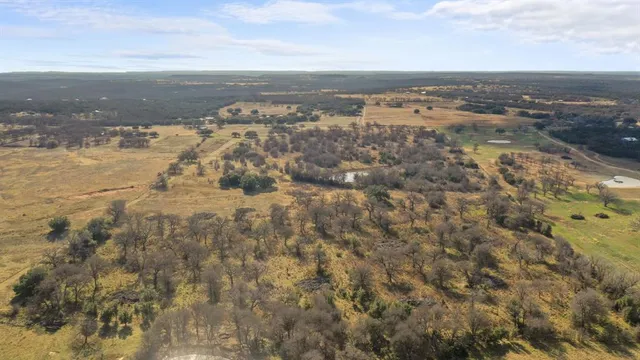 a view of yard with trees