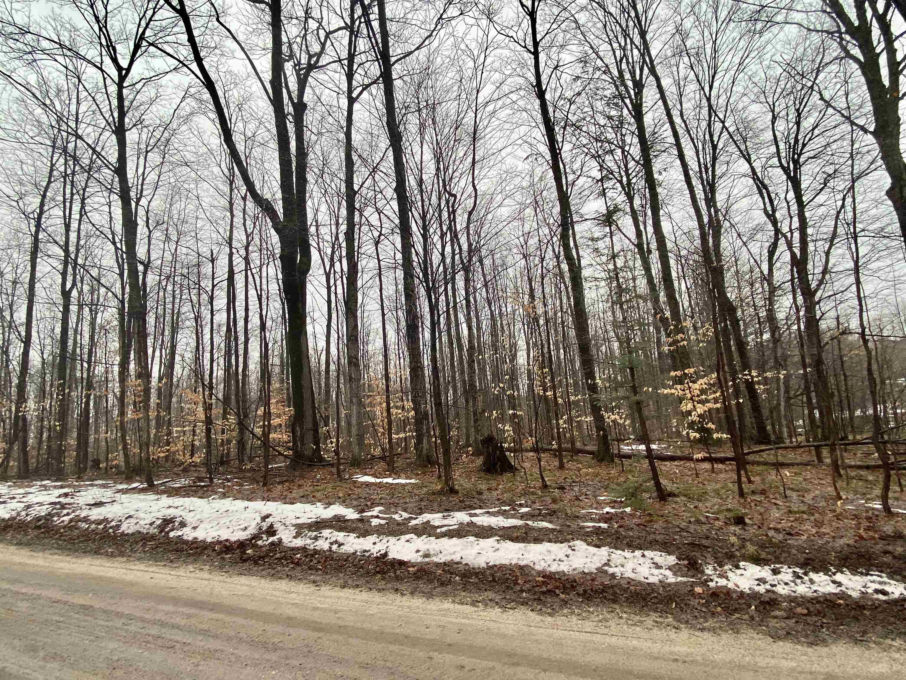7667 King Road Benzonia, MI 49616 - Photo 7 of 9