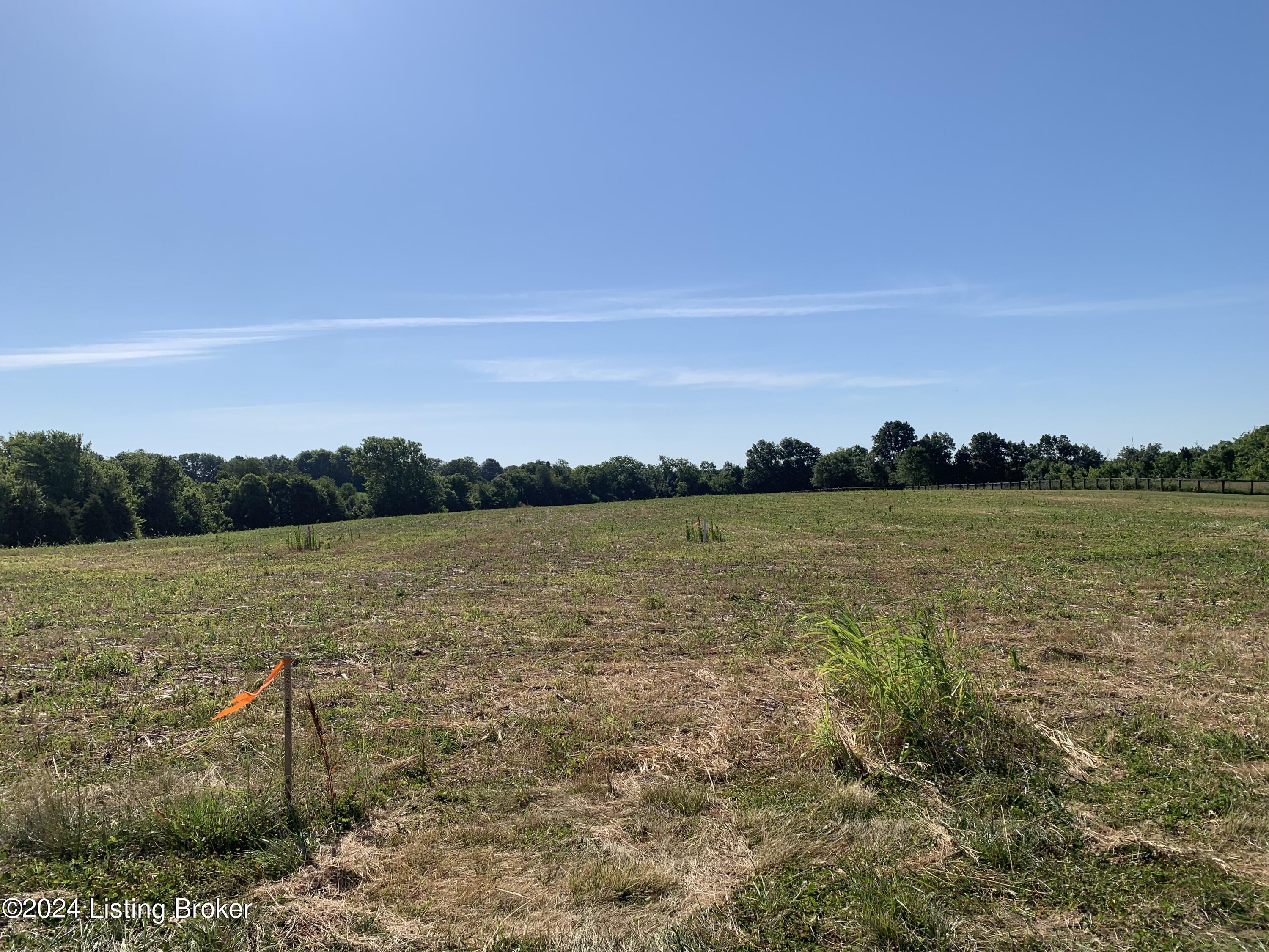 Tract#1 Murrays Run Road Coxs Creek, KY 40013 - Photo 1 of 1 Main