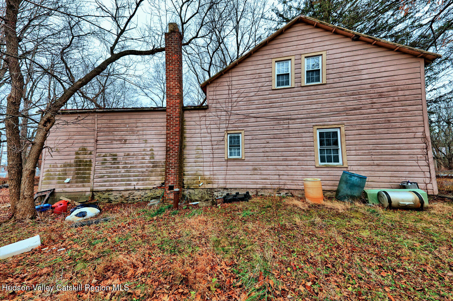 7548 Highway 32 Cairo, NY 12413 - Photo 12 of 50 a view of a backyard with plants and a large tree