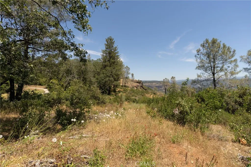 0 Doe Mill Road Magalia, CA 95954 - Photo 16 of 48 Gallery Image 16