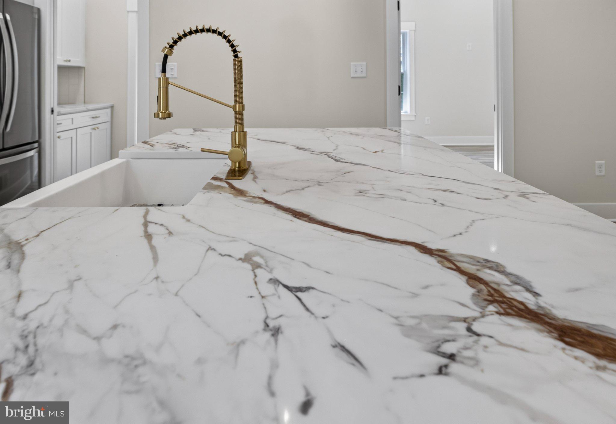 972 Days Bridge Road Mineral, VA 23117 - Photo 79 of 109 Elegant marble countertop with gold accents.