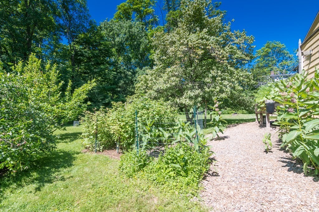 63 Chestnut Street Amherst, MA 01002 - Photo 29 of 33 Gallery Image 29