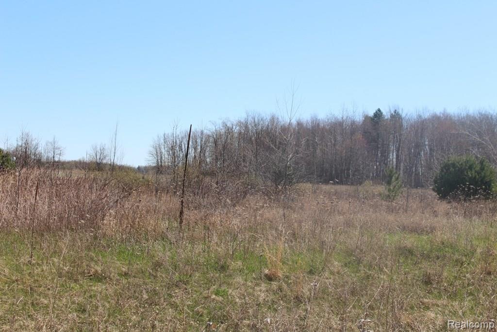 Parcel L Folsom Lane Road Otter Lake, MI 48464 - Photo 1 of 1 Gallery Image 1