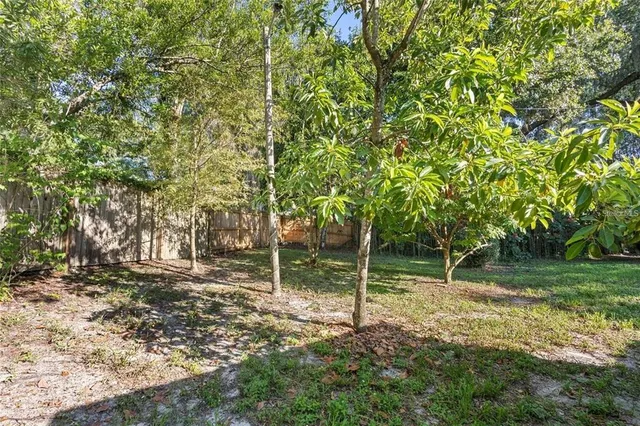 a backyard of a house with lots of green space