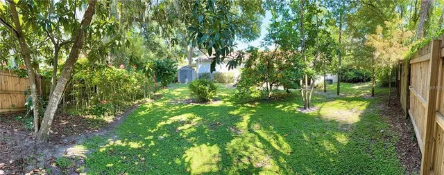 a view of a tree in a garden