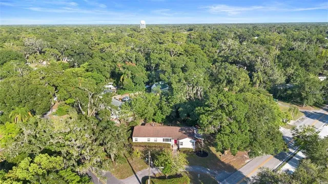a view of a large yard with lots of green space