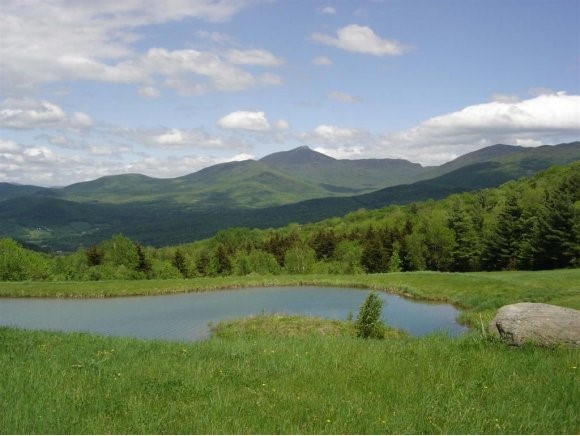 Gully Hill Road Starksboro, VT 05487 - Photo 1 of 1 Gallery Image 1