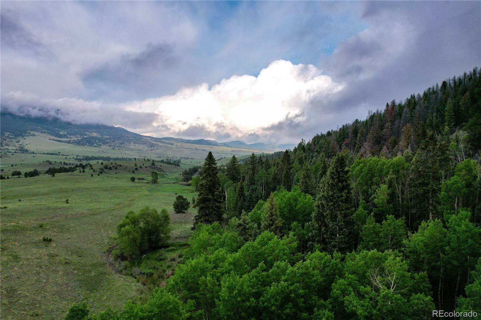 Undisclosed Address Guffey, CO 80820 - Photo 22 of 45 Gallery Image 22