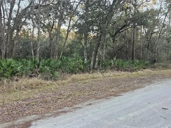 $39,900 | Rosehill Drive, Webster, FL 33597