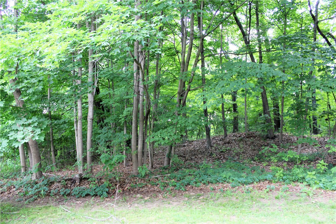 12 Edith Street Cumberland, RI 02864 - Photo 42 of 43
