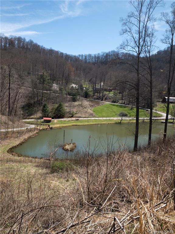 13 Rugged Top Road Waynesville, NC 28785 - Photo 1 of 6