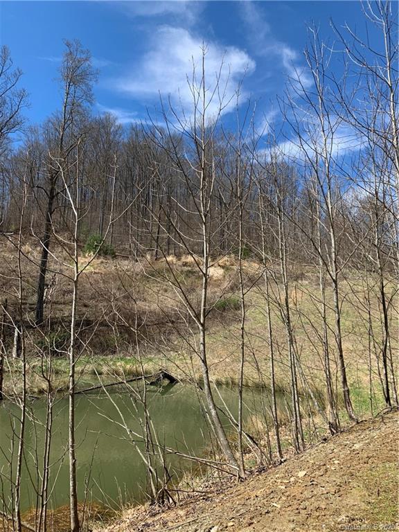 13 Rugged Top Road Waynesville, NC 28785 - Photo 4 of 6