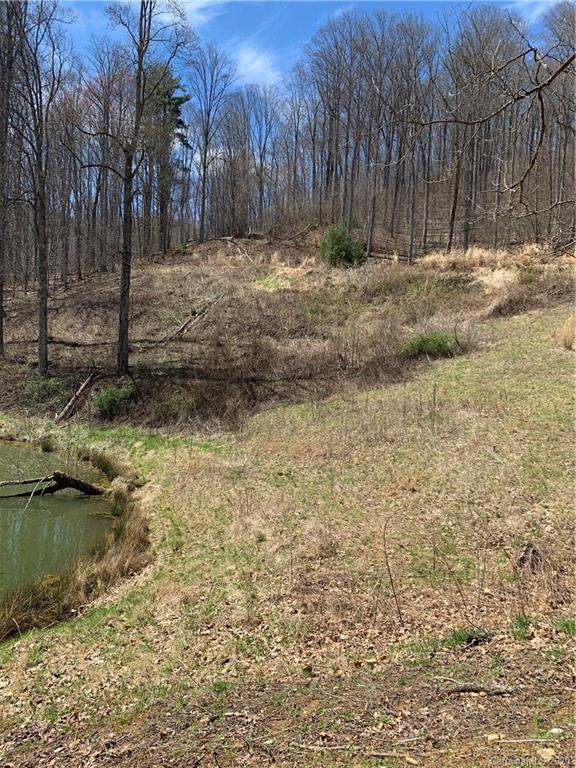 13 Rugged Top Road Waynesville, NC 28785 - Photo 6 of 6