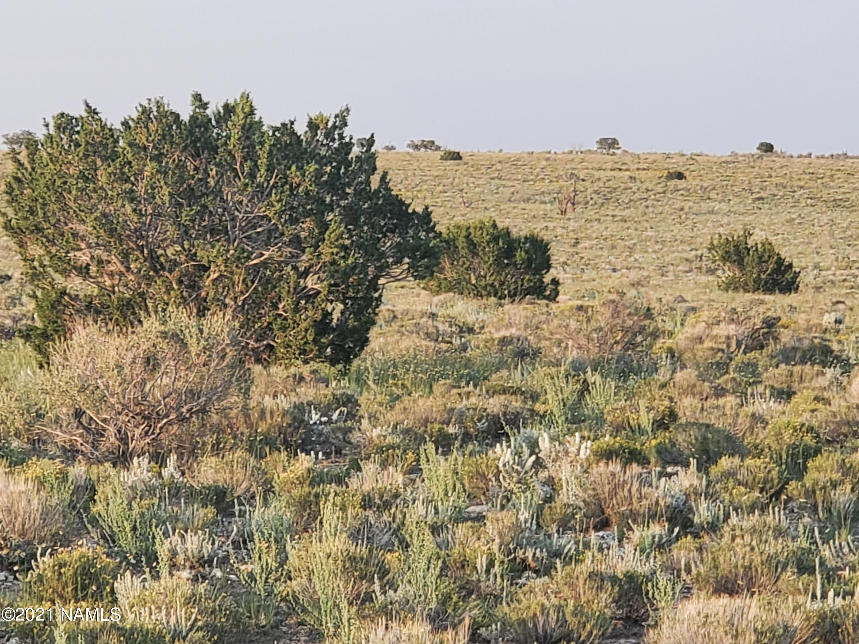 7357 Latigo Road, Unit 324 Williams, AZ 86046 - Photo 5 of 10 20210907_180826
