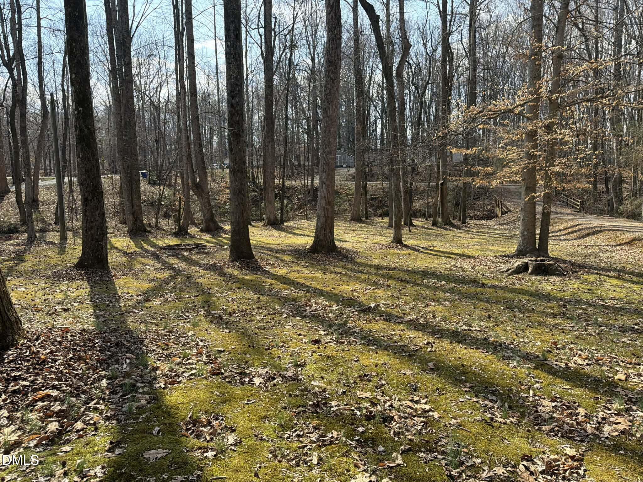 609 Shambley Road Mebane, NC 27302 - Photo 17 of 17 a view of yard