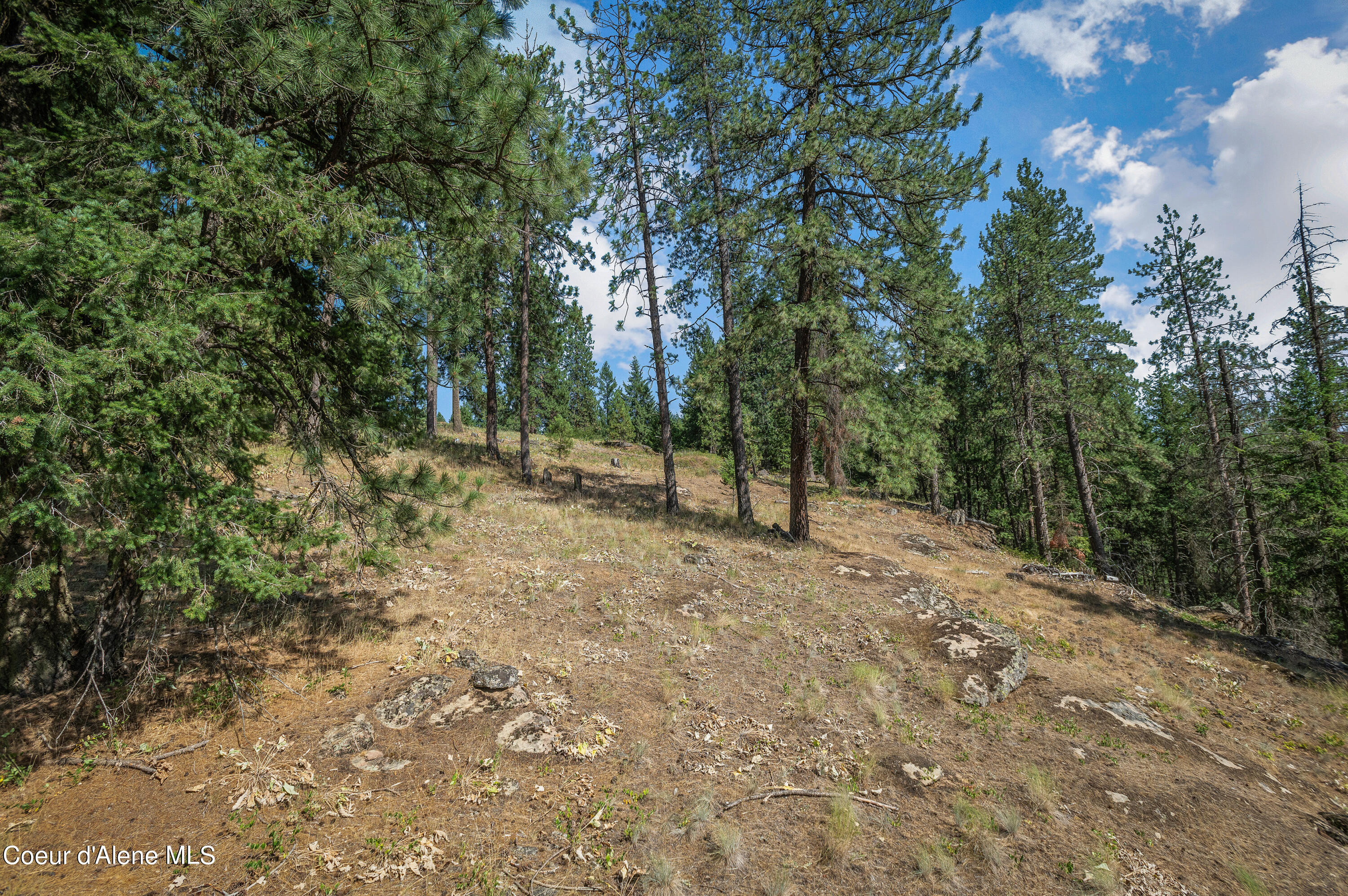 16154 North Smith Avenue Rathdrum, ID 83858 - Photo 20 of 42 --23.jpg-FULL