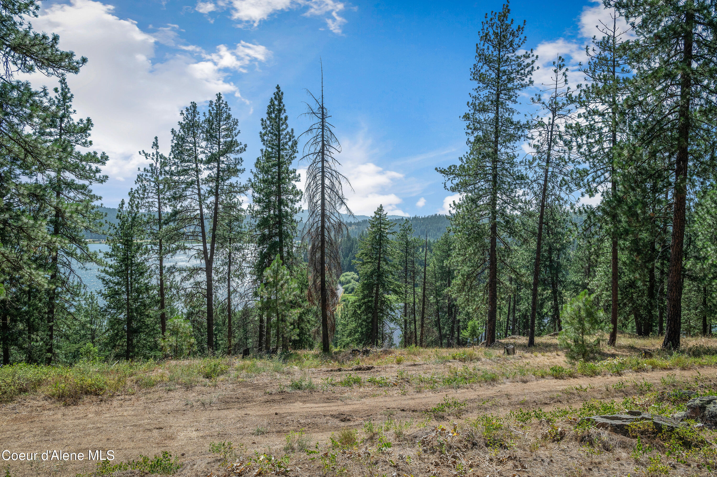 16154 North Smith Avenue Rathdrum, ID 83858 - Photo 4 of 42 --16.jpg-FULL