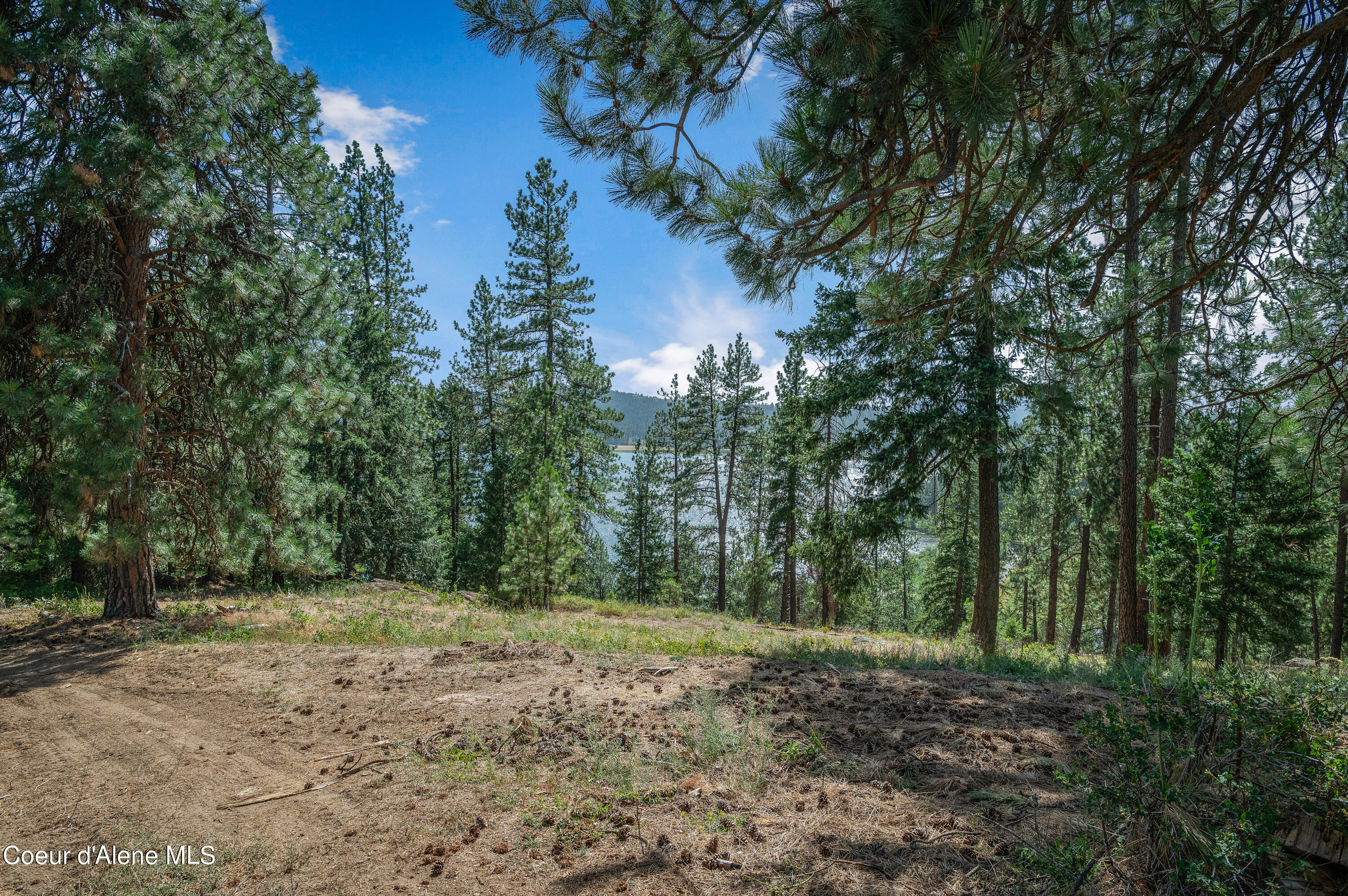 16154 North Smith Avenue Rathdrum, ID 83858 - Photo 5 of 42 --11.jpg-FULL