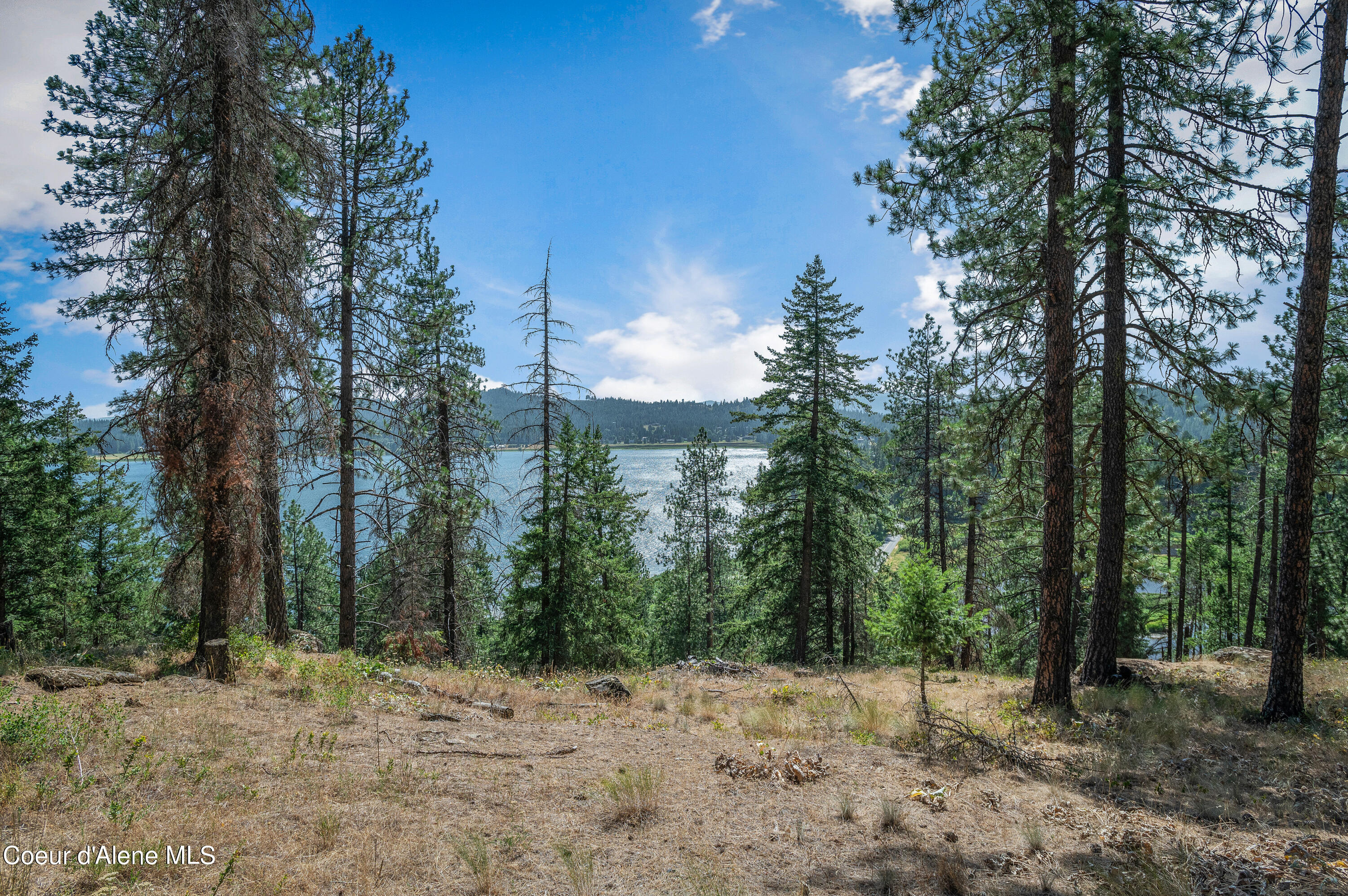 16154 North Smith Avenue Rathdrum, ID 83858 - Photo 6 of 42 --17.jpg-FULL