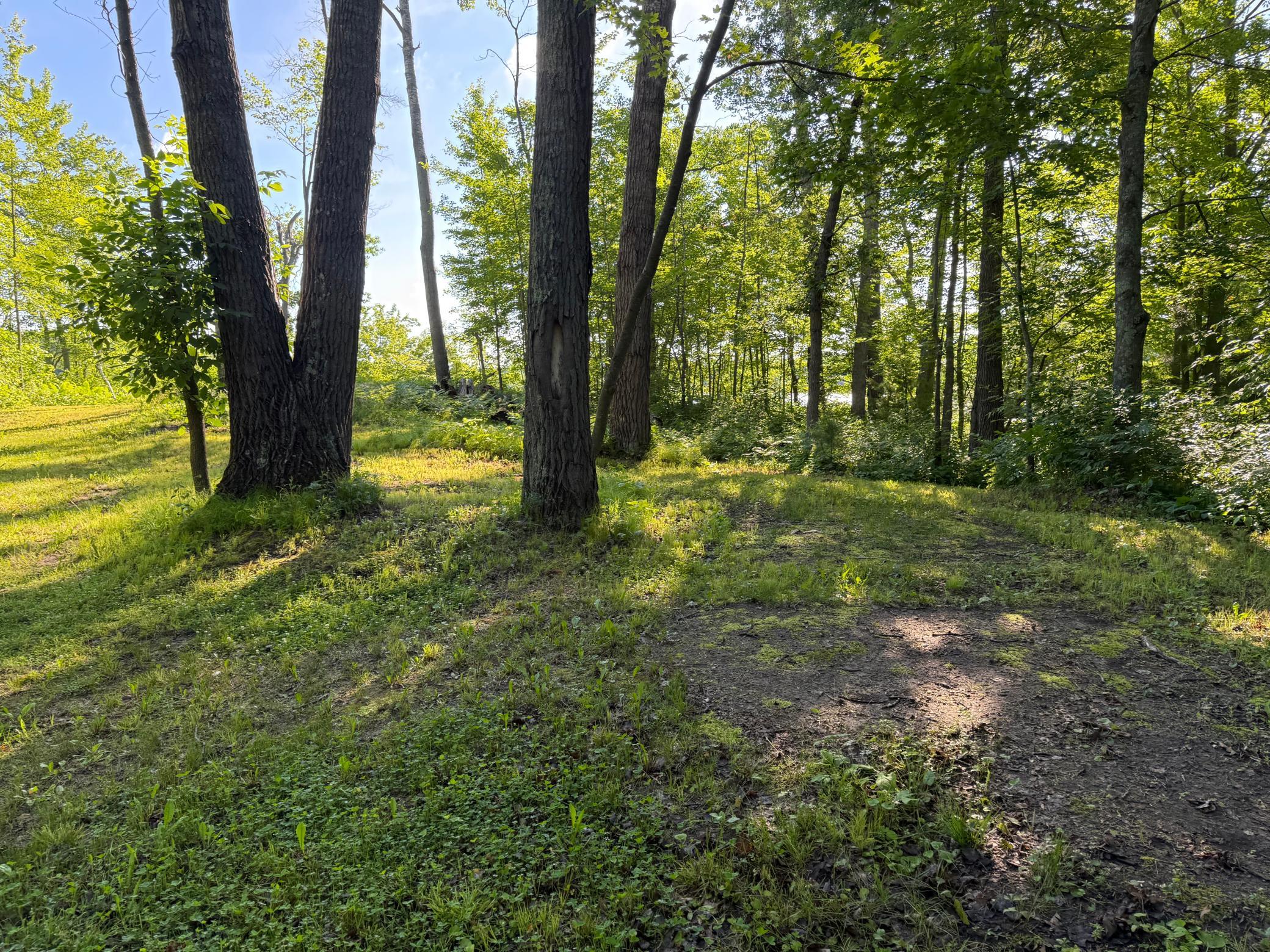 Tbd Sathre Lane Shell Lake, WI 54871 - Photo 6 of 34