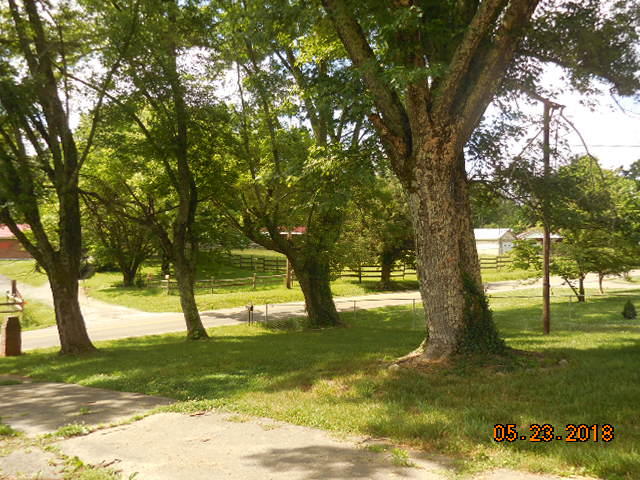 2120 Mentor Road Louisville, TN 37777 - Photo 3 of 6 Mentor 007