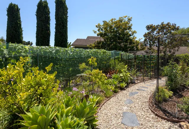 a view of a garden with a pathway