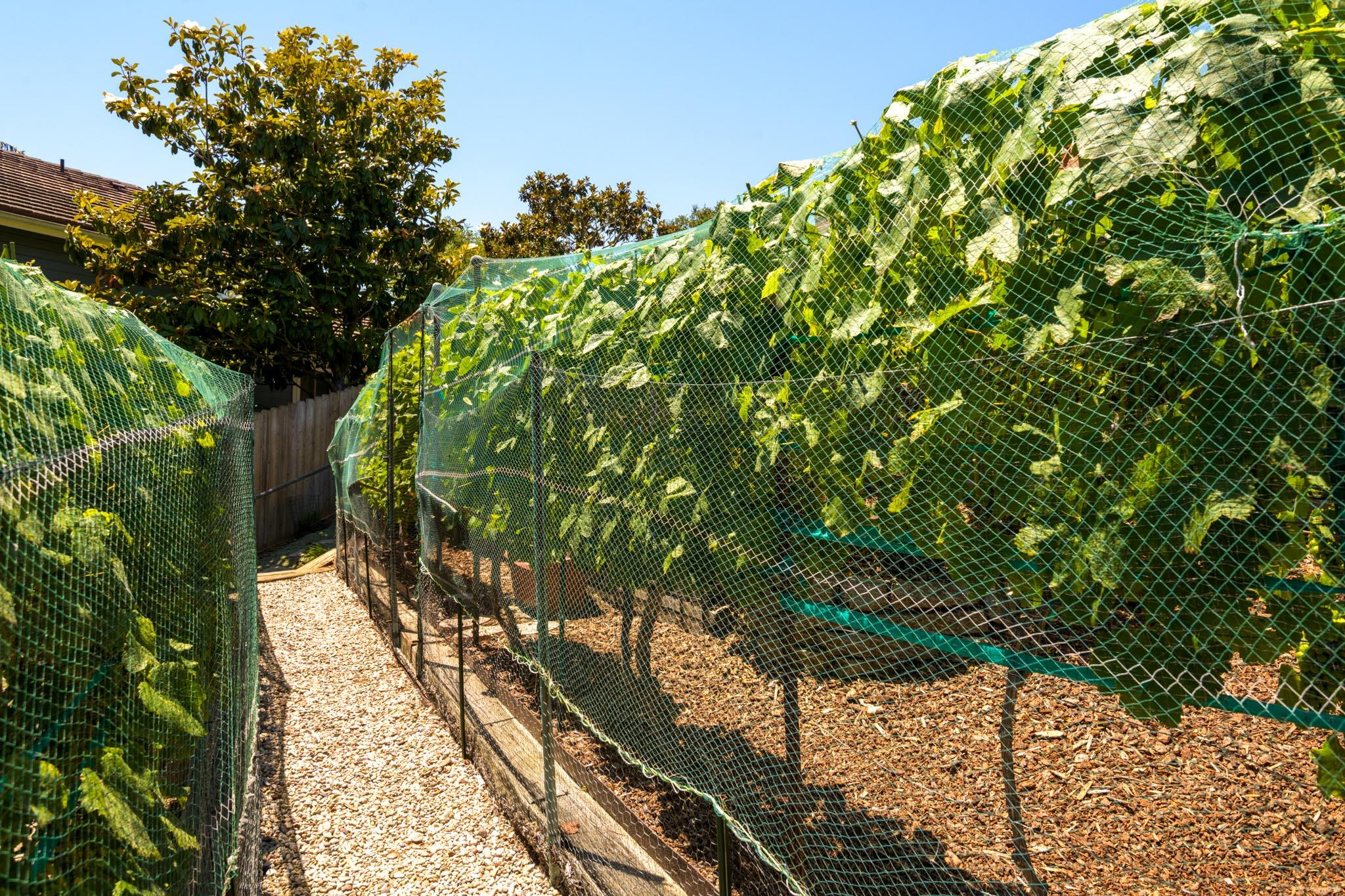 3715 Hitchcock Ranch Road Santa Barbara, CA 93105 - Photo 29 of 36 a view of a garden