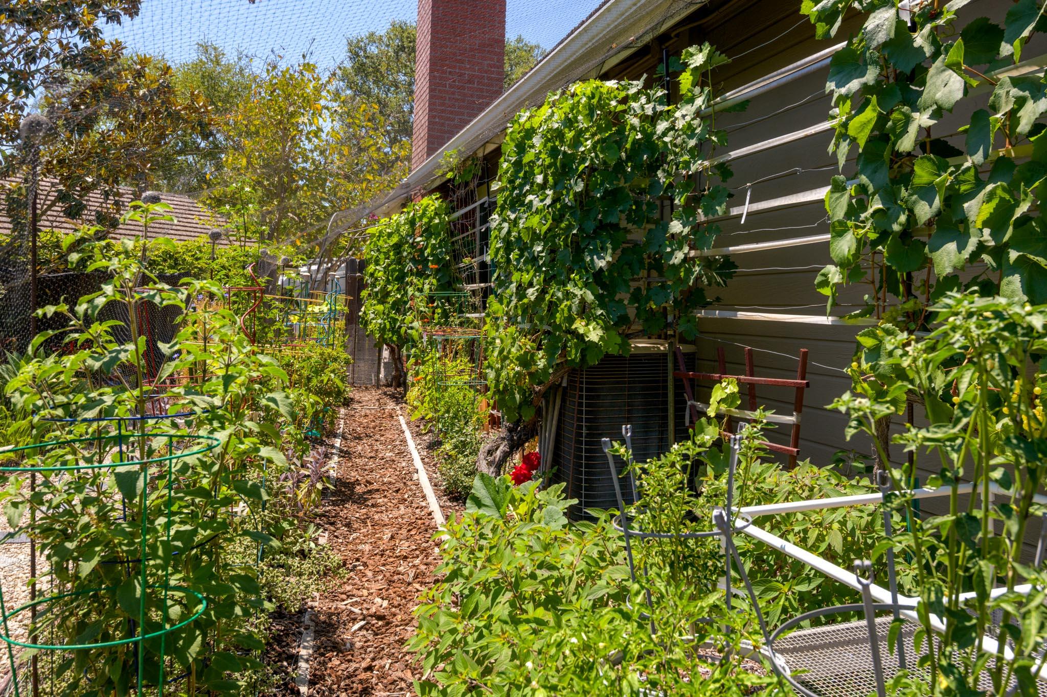 3715 Hitchcock Ranch Road Santa Barbara, CA 93105 - Photo 34 of 36 a backyard of a house with lots of green space