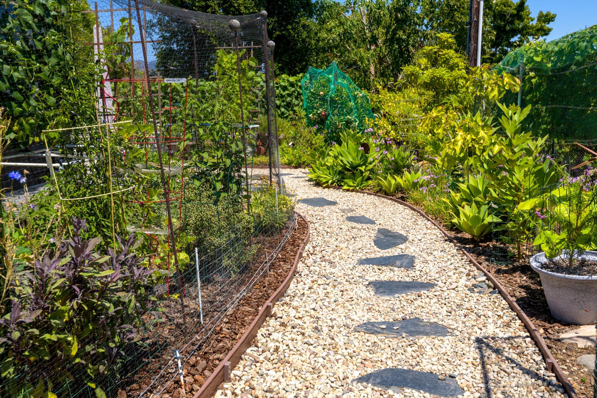 3715 Hitchcock Ranch Road Santa Barbara, CA 93105 - Photo 35 of 36 a view of a pathway with plants