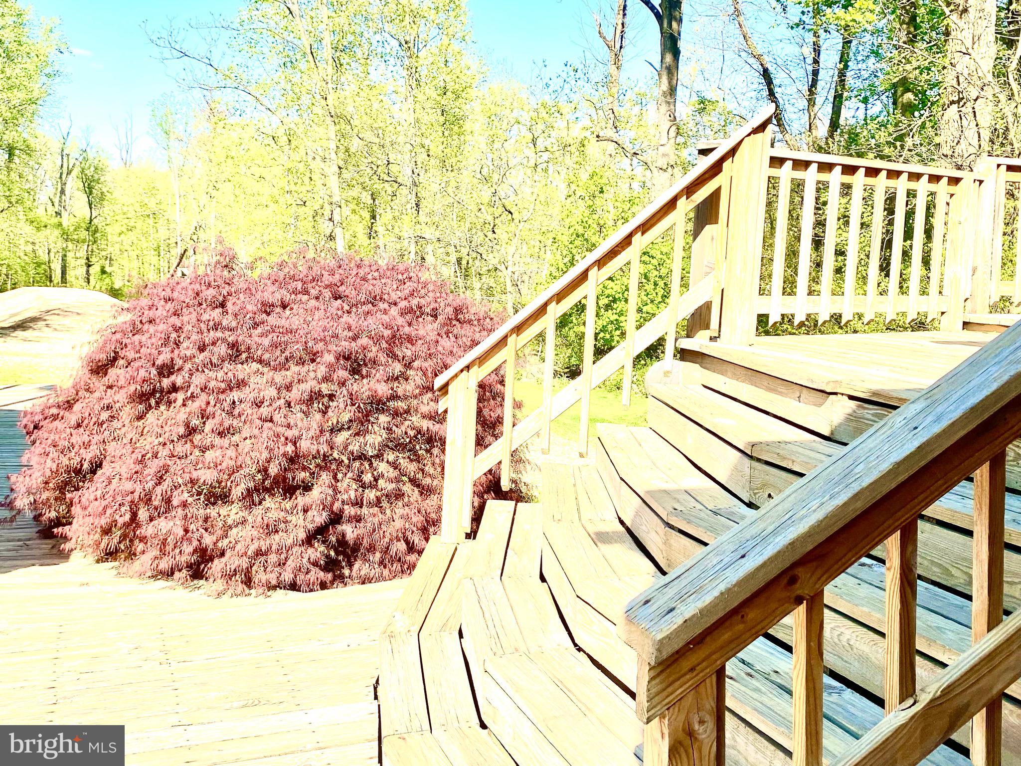 81 Dickert Road Quakertown, PA 18951 - Photo 3 of 28