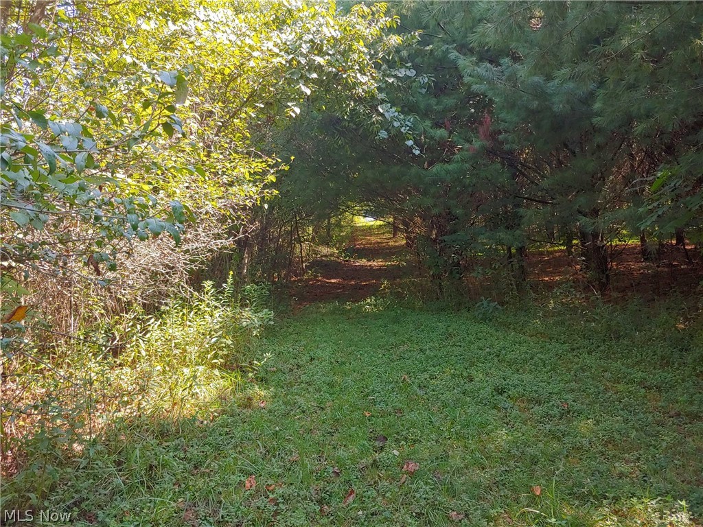 55680 Cline Road Barnesville, OH 43713 - Photo 32 of 35