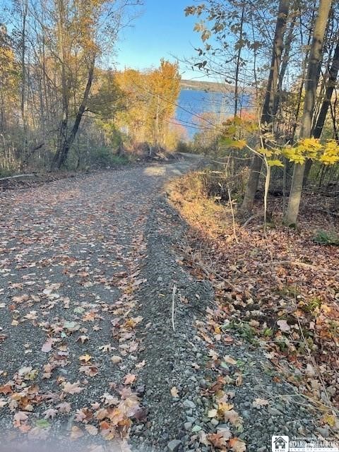 2612 West Lake Road North Harmony, NY 14710 - Photo 11 of 15