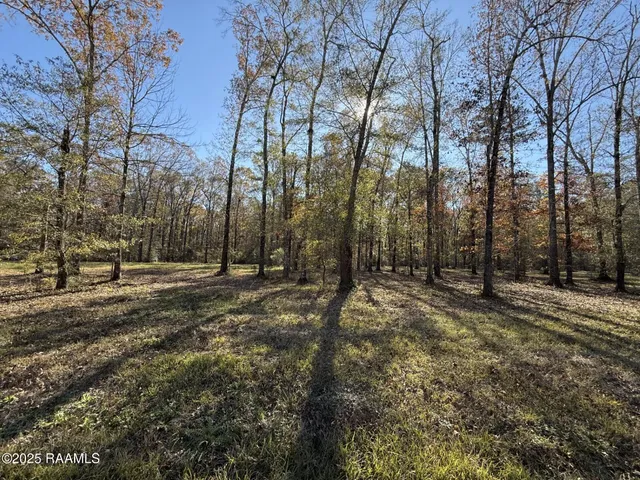 $57,000 | Tbd Juniper Lane, Ville Platte, LA 70586
