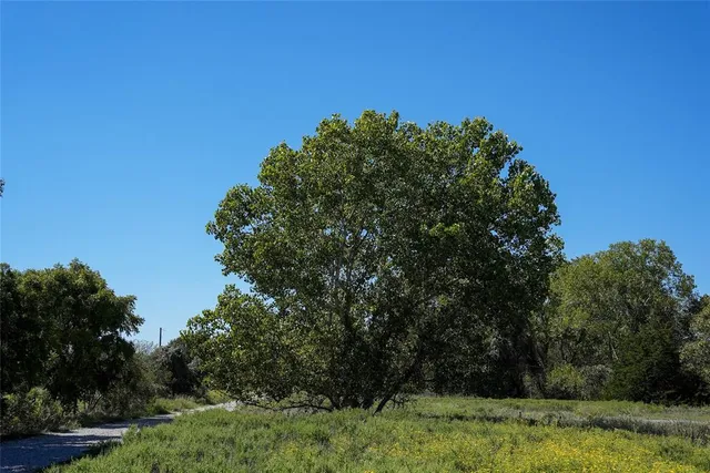 a view of a field of grass and trees