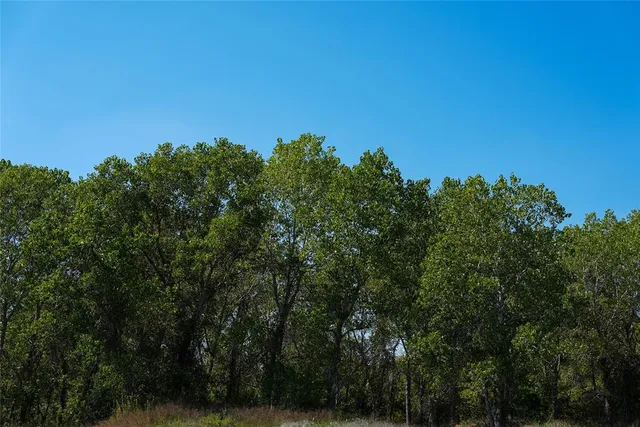 a view of a green field