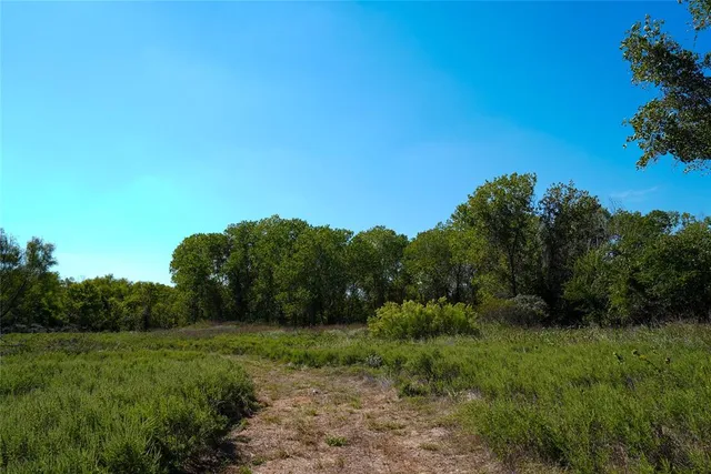 a view of a grassy field with trees in the background