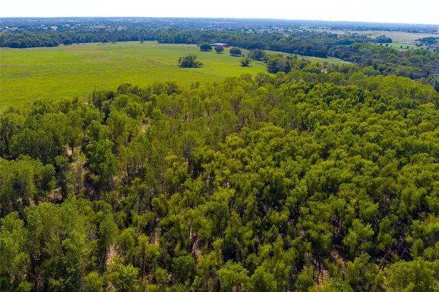 a view of a field with an ocean view