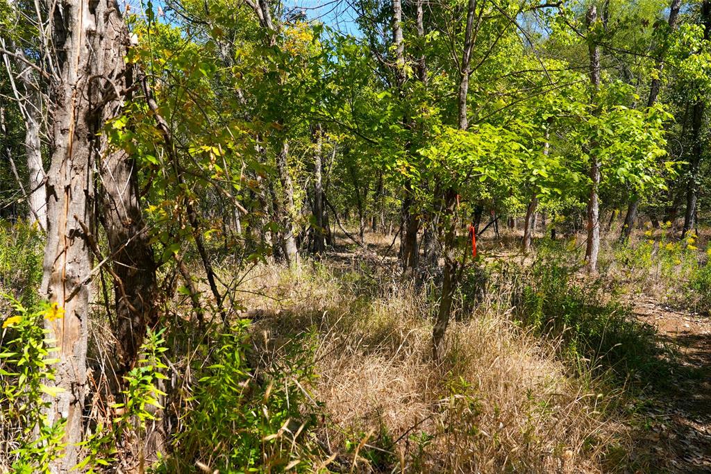 4667 County Road 4667 Rhome, TX 76078 - Photo 30 of 39