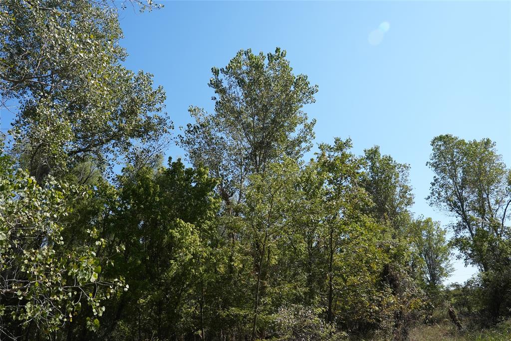 4667 County Road 4667 Rhome, TX 76078 - Photo 31 of 39