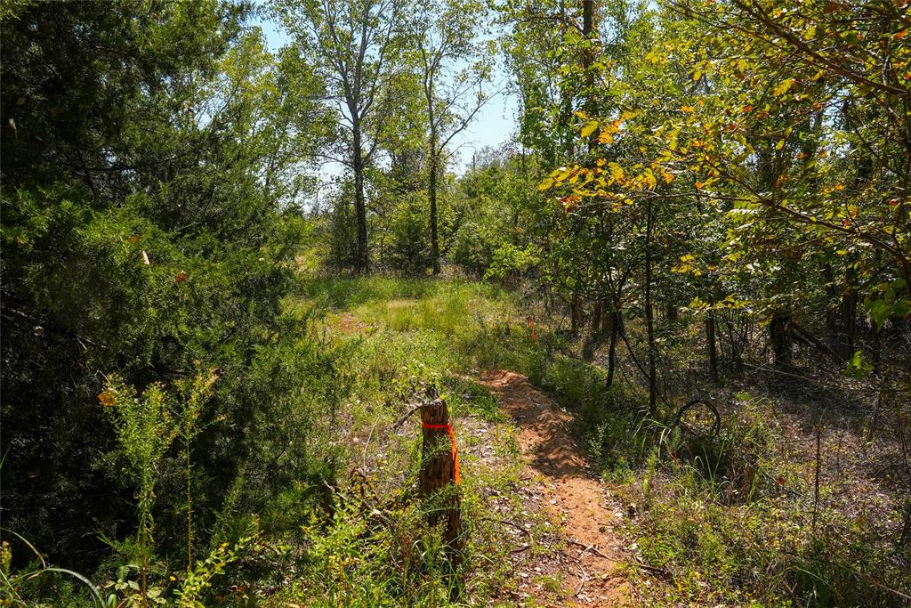 4667 County Road 4667 Rhome, TX 76078 - Photo 32 of 39