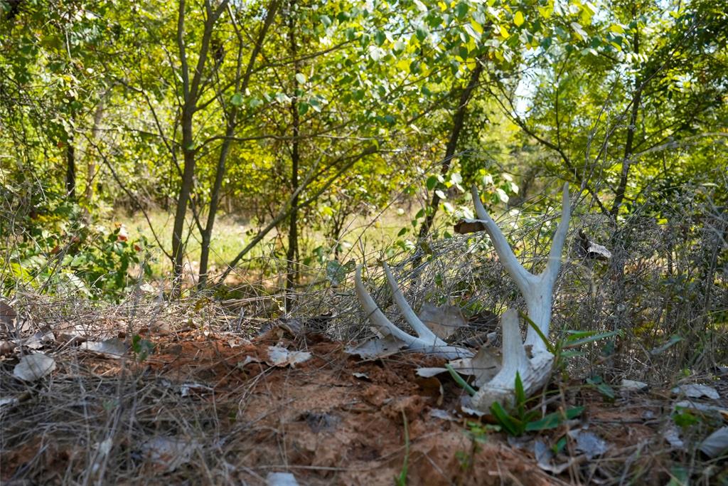 4667 County Road 4667 Rhome, TX 76078 - Photo 33 of 39